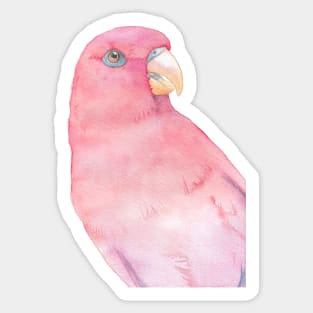 Red lory parakeet parrot watercolor portrait Sticker